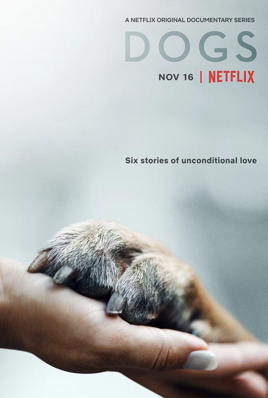 dogs_poster_netflix